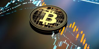 Crypto Trends to Watch: Predictions for the Future of Digital Currency