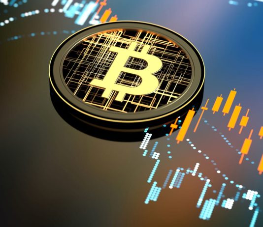 Crypto Trends to Watch: Predictions for the Future of Digital Currency