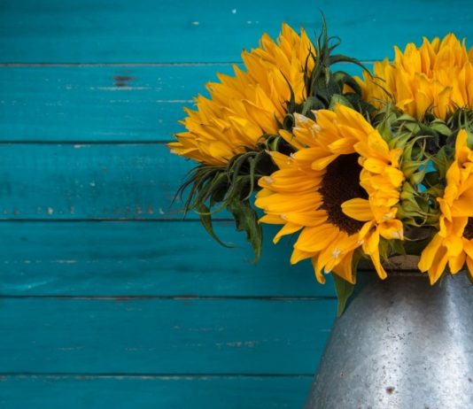 Funny Quotes to Make You Laugh and See the Brighter Side of Life