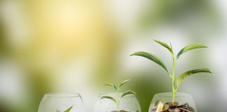 The Best Ways to Make Your Money Grow