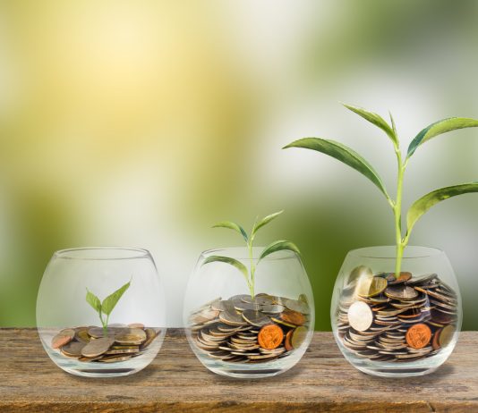 The Best Ways to Make Your Money Grow