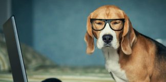 Simple Email Marketing Tips to Improve Your Open and Click Through Rates