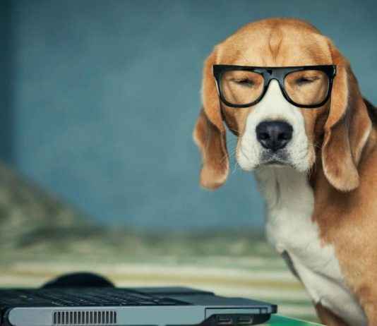 Simple Email Marketing Tips to Improve Your Open and Click Through Rates