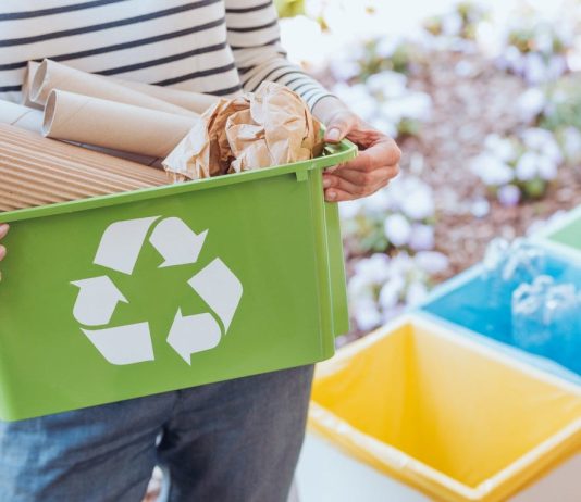 Sustainable Living: Tips for an Eco-Friendly Lifestyle