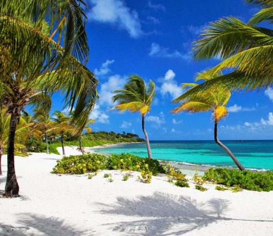 Best Tropical Vacations to Visit This Year
